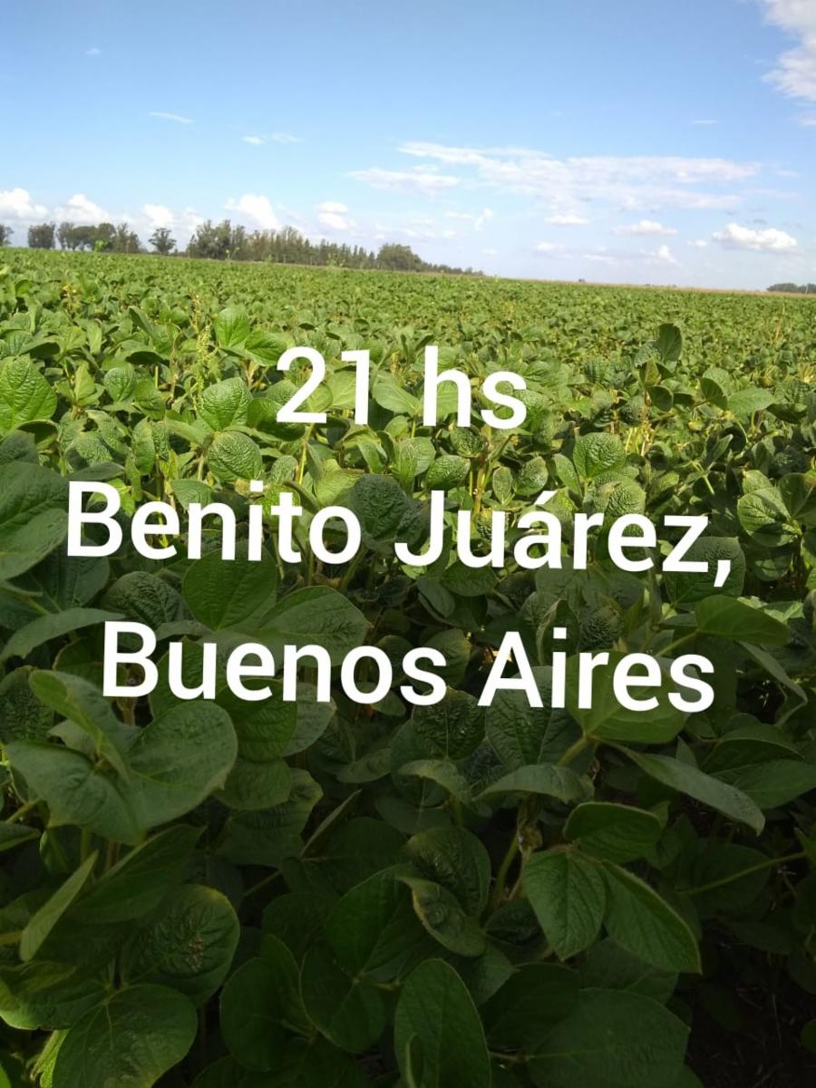 Images