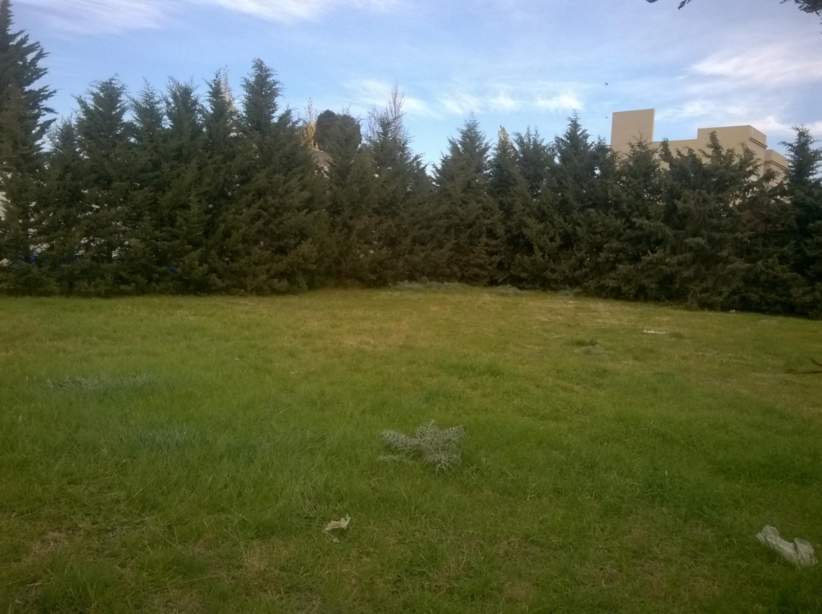 Images
