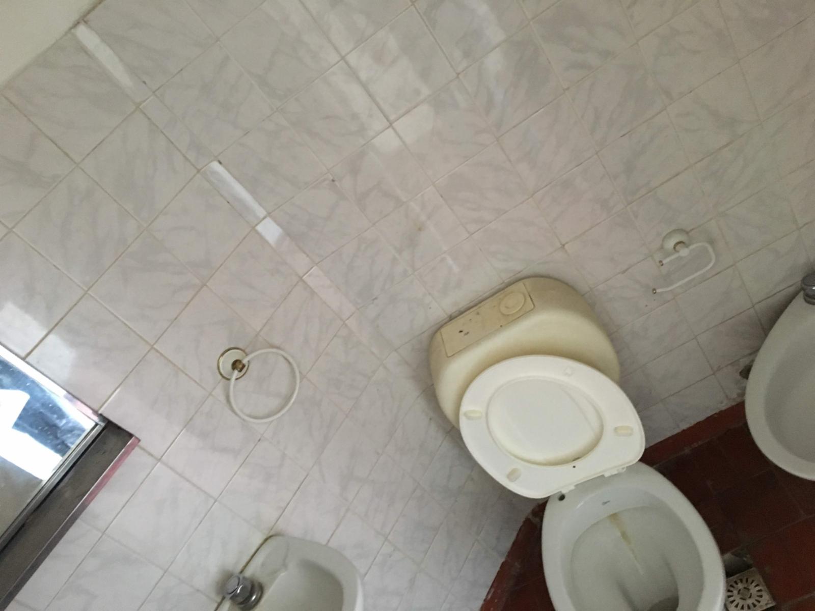 Imagens
