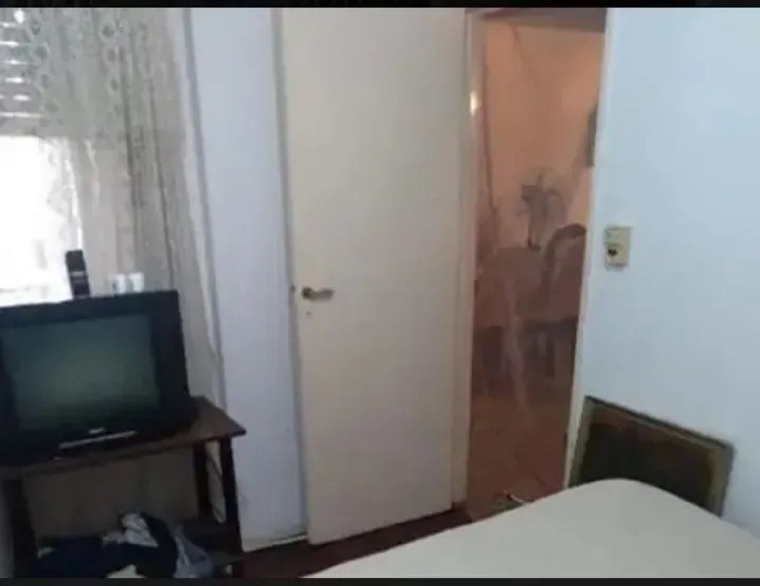 Imagens