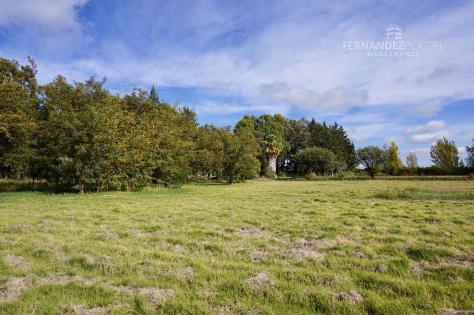 SE VENDE Finca Campo 8,4 Ha Las Catitas Santa Rosa sobre Acceso Este