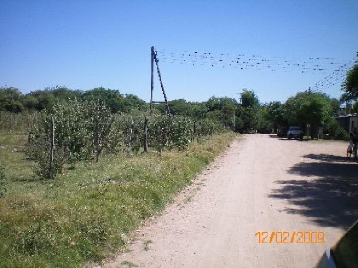 Imágenes