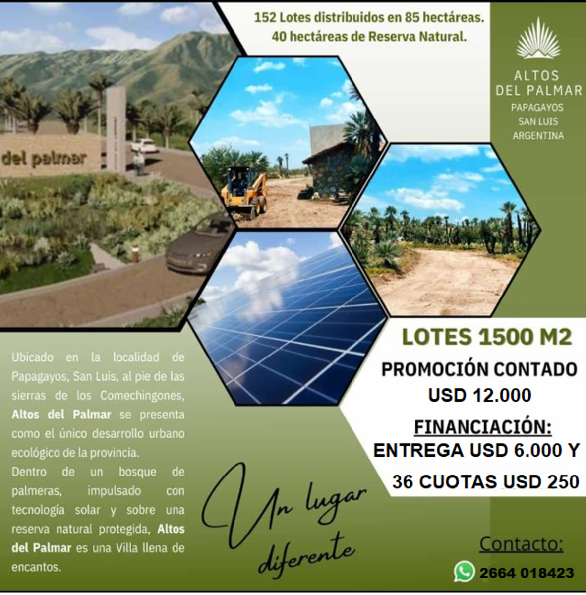 LOTEO ALTOS DEL PALMAR