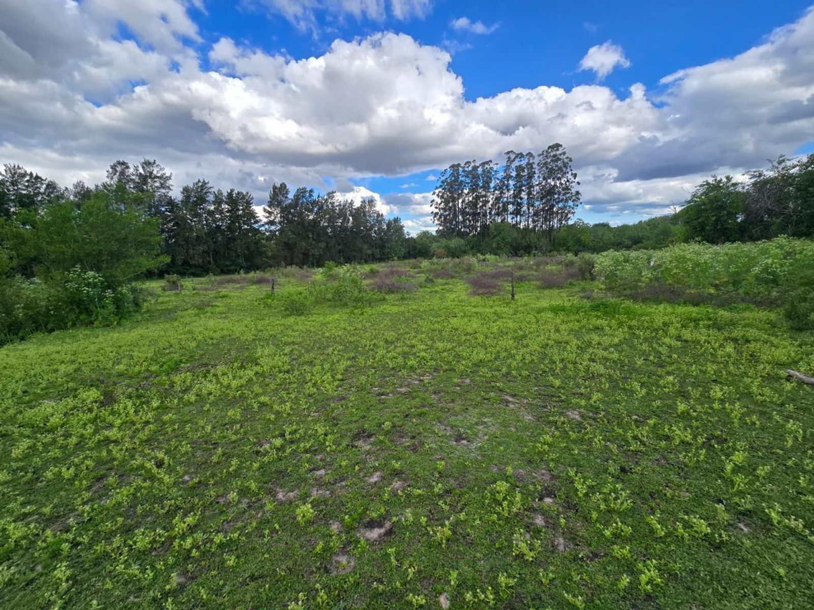 Campo de tres hectáreas en Colón, Entre Ríos