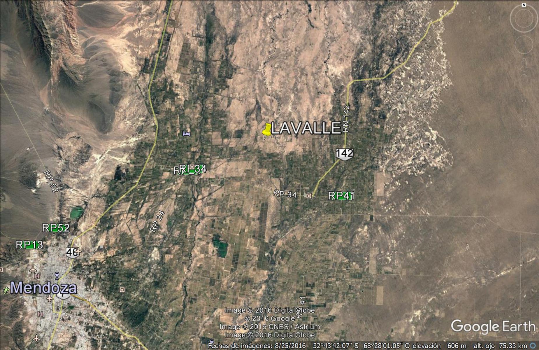 Venta Campo Lavalle, Mendoza. 600 hectáreas. excelente inversión