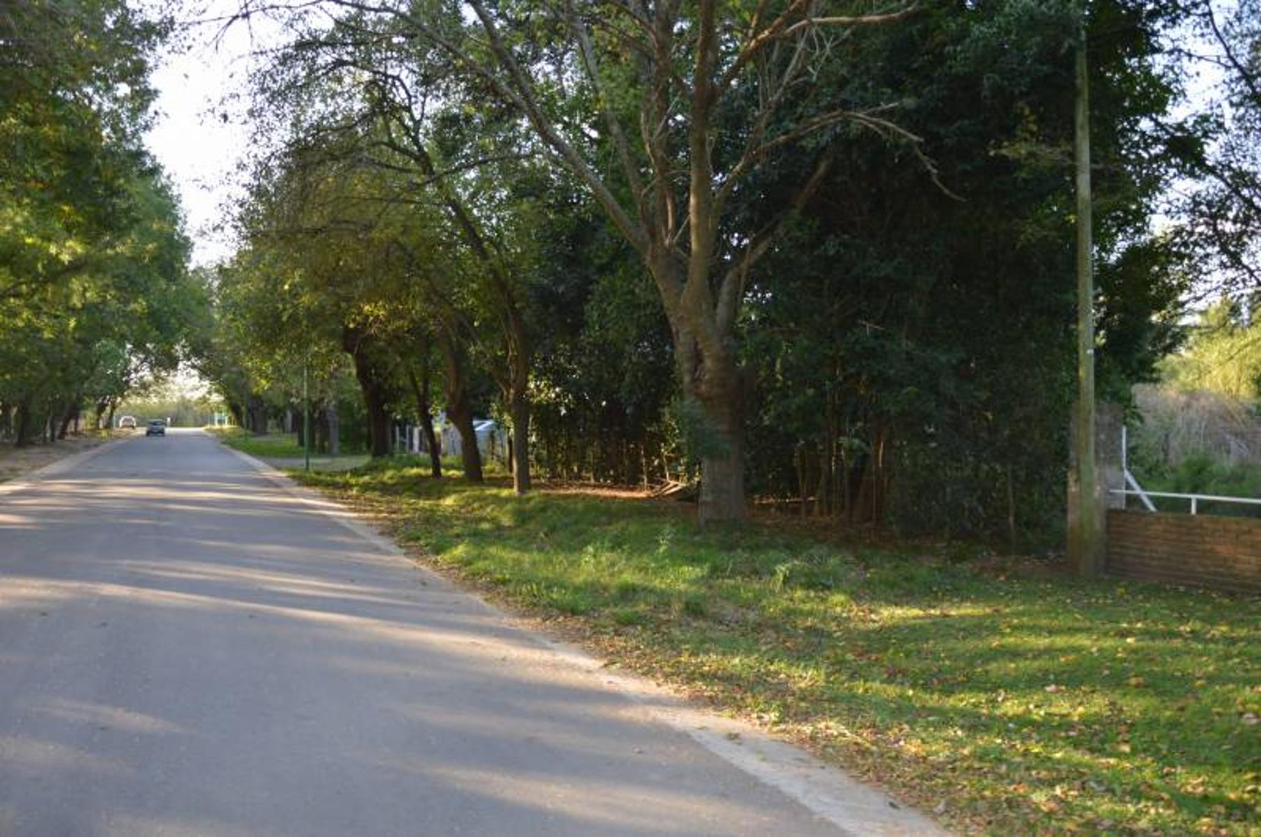 Calle 62 e/ 139 y 141 500