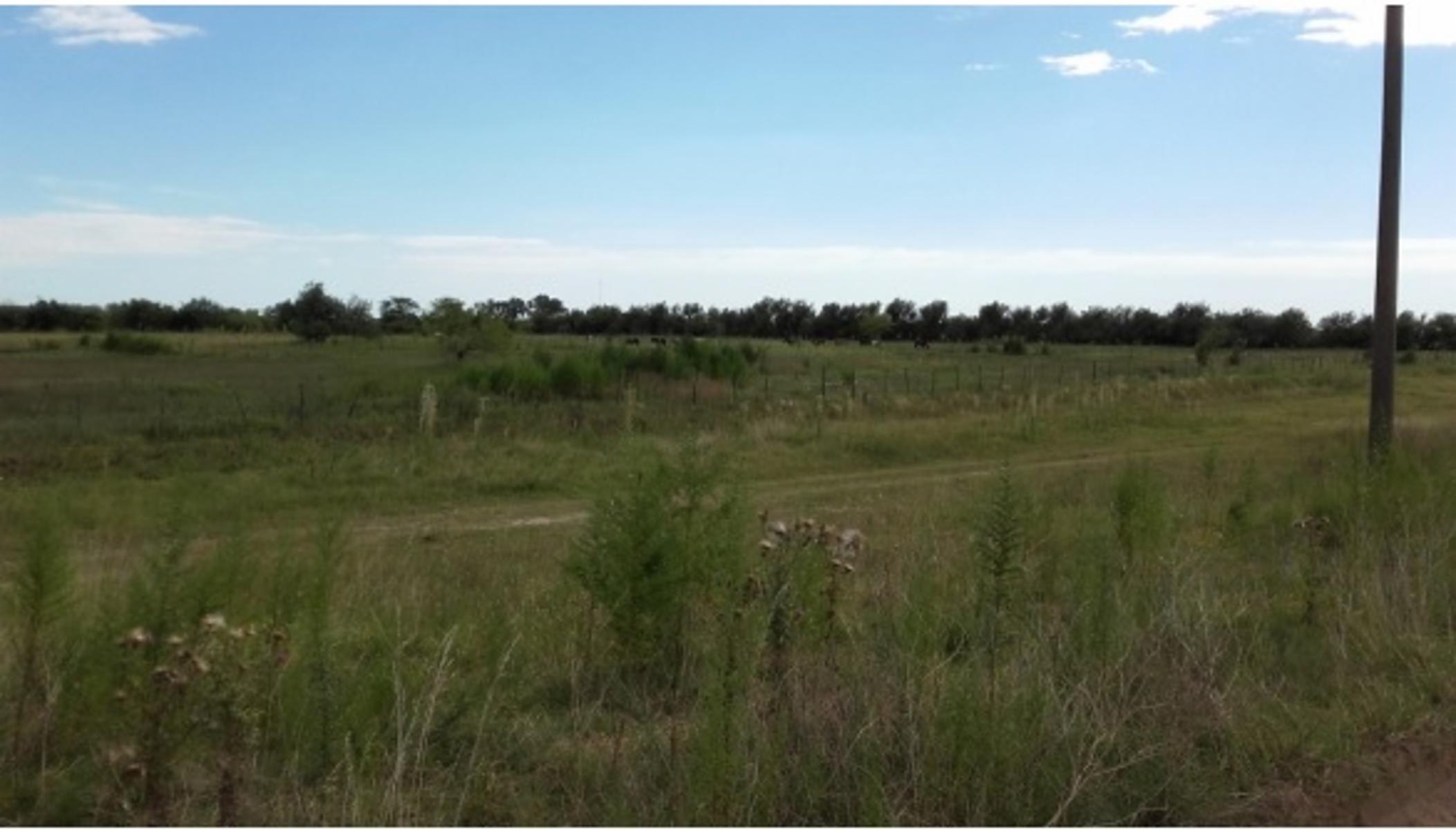 Campo 14 hectareas, Dolores, Interior Buenos Aires
