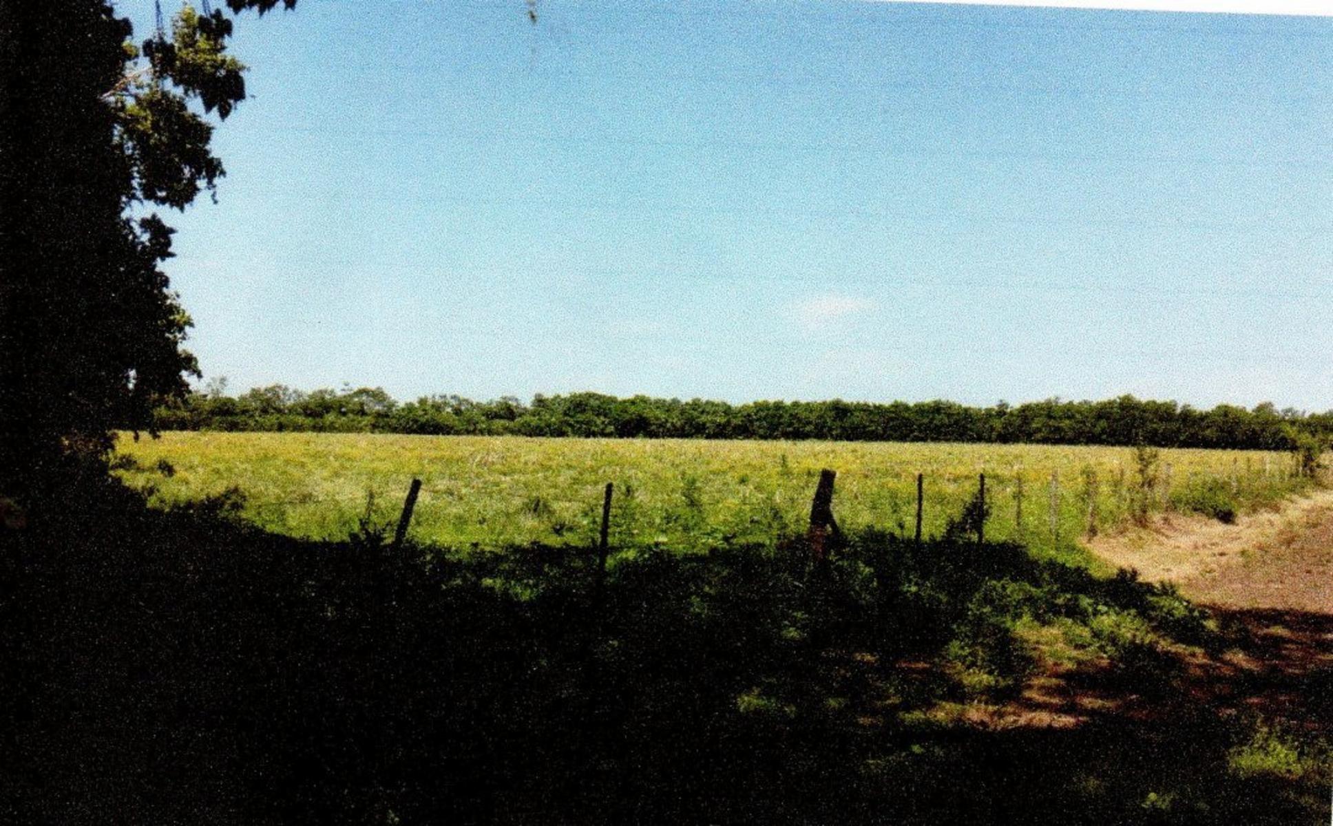 campo dolores mas de 140 hectareas