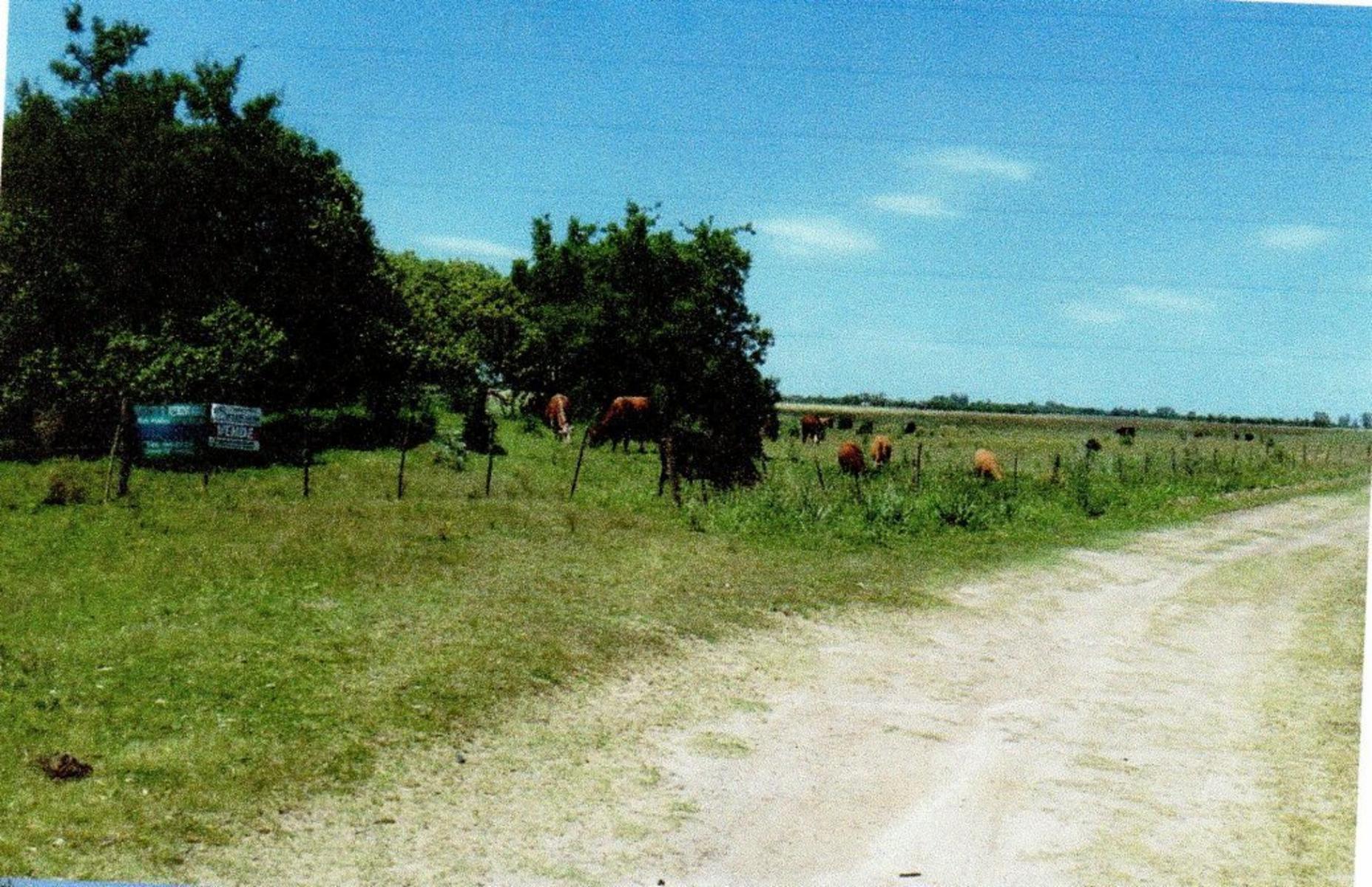 Imágenes