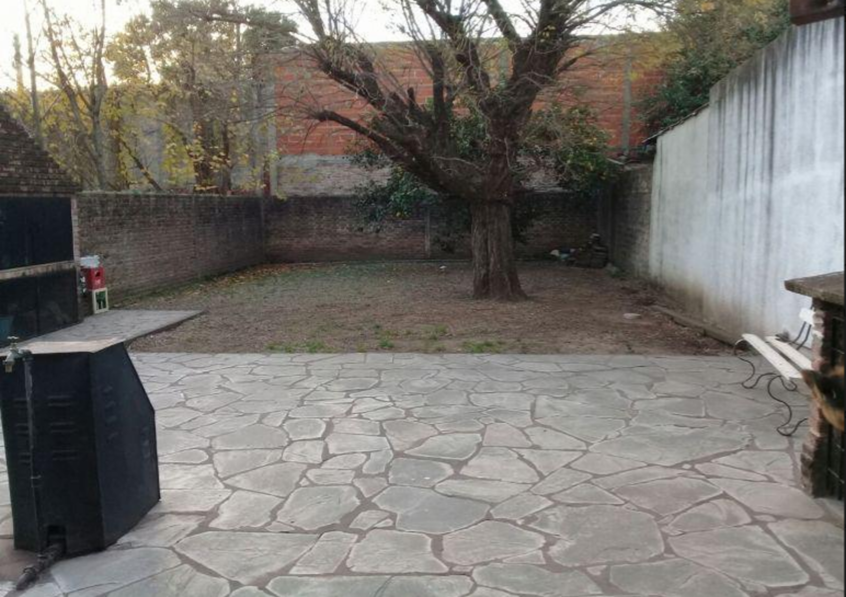 Imagens