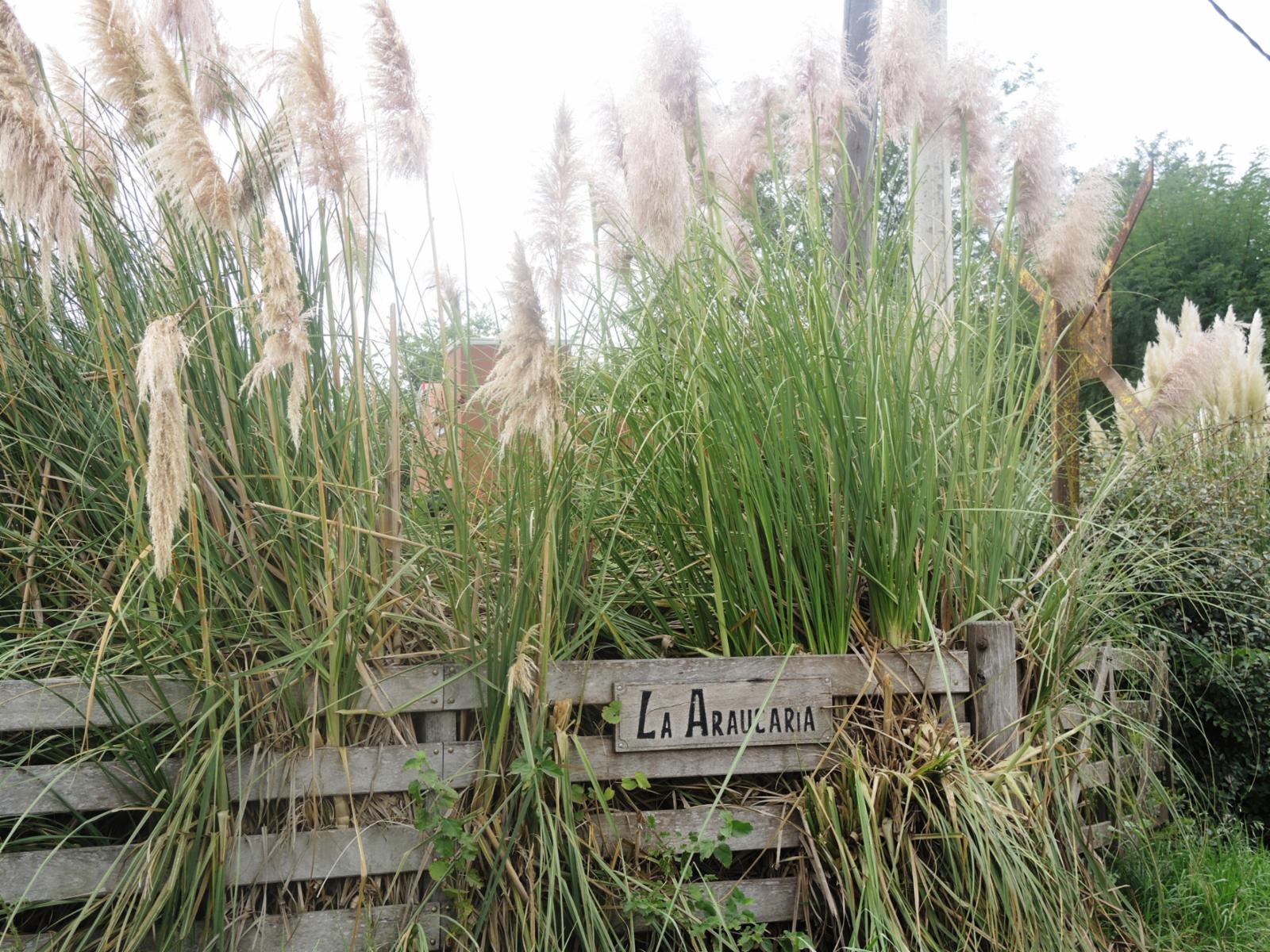 EN VENTA CASA QUINTA EN LA ARAUCARIA- LOBOS. BARRIO ABIERTO, SIN EXPENSAS.