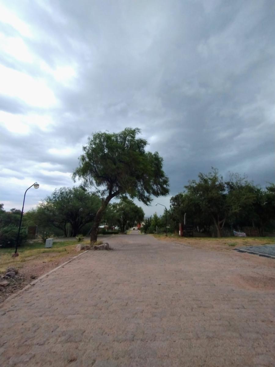 Imagens