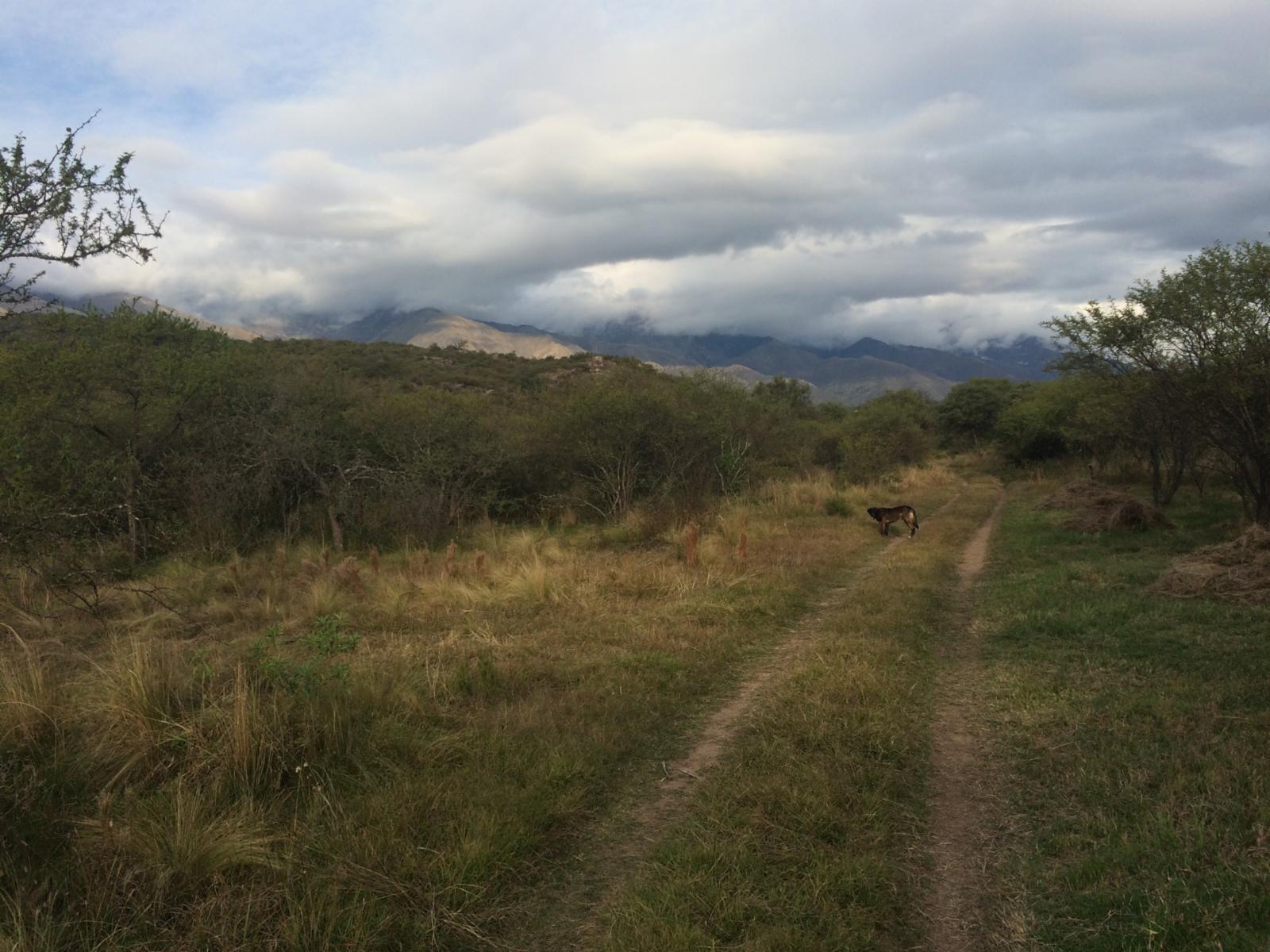 Lote de terreno / villa de las rosas