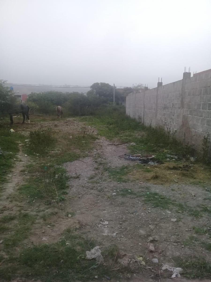 DOS LOTES CONTINUOS DE 25 X 10 EN BARRIO SAN JORGE FRENTE CONTRUCTORA DEMISA