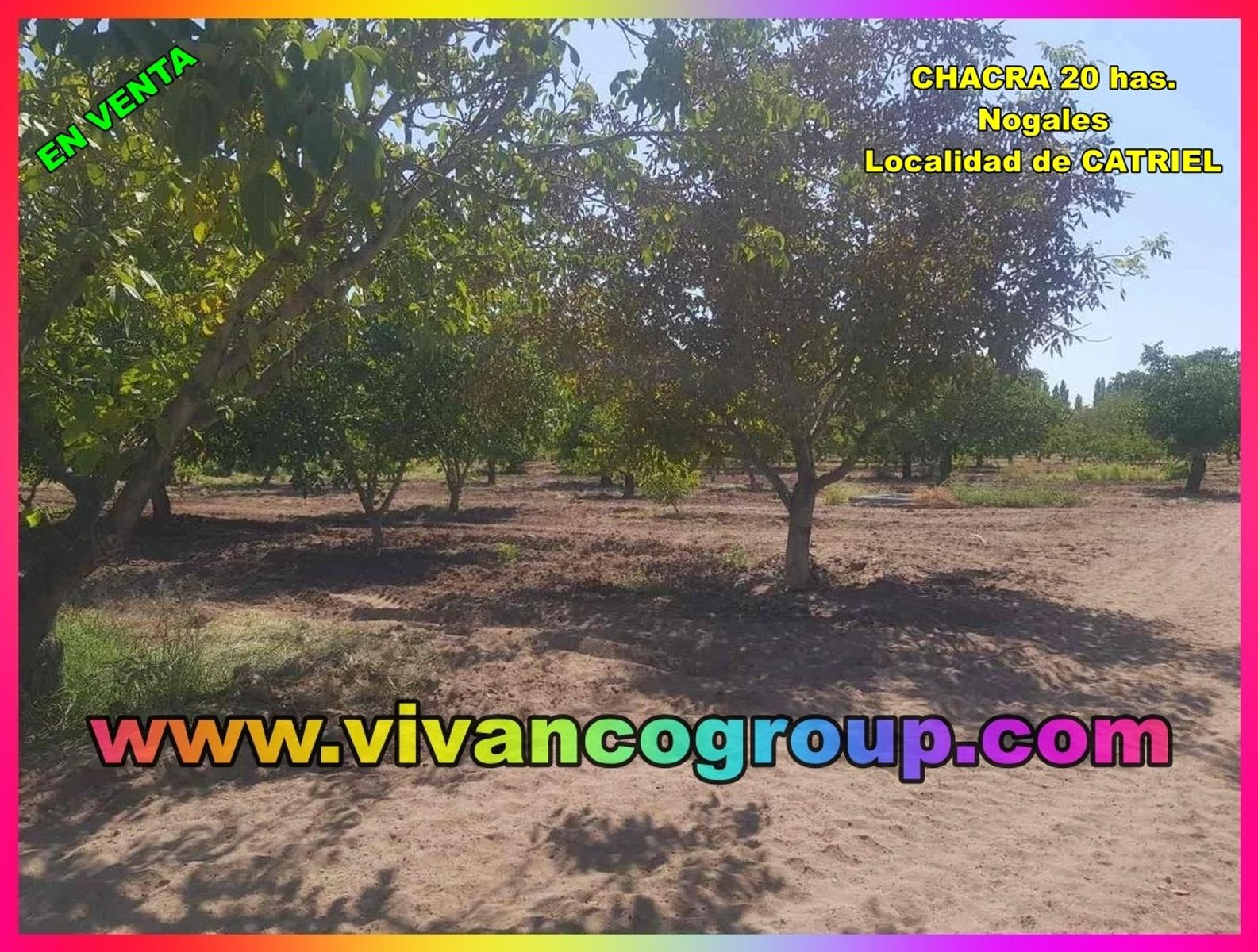 Se vende Chacra 20 has. con producción de nueces en Catriel,ProvinciadeRío Negro, norte de la Patagonia, Argentina.