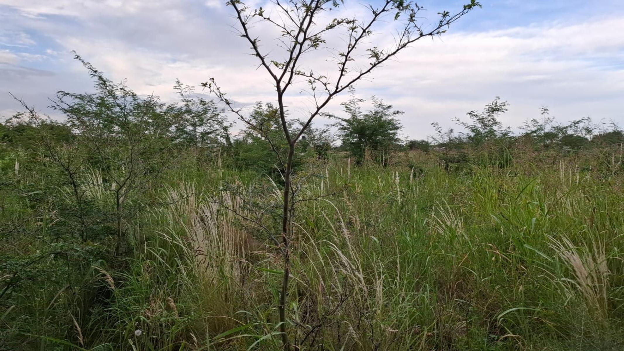 TERRENO VILLA ANISACATE