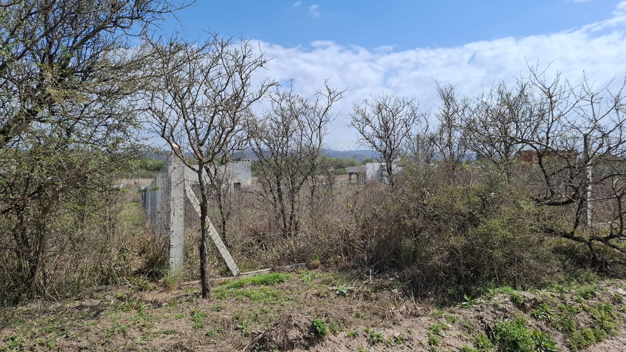 DOS LOTES MONTE Y MANTO