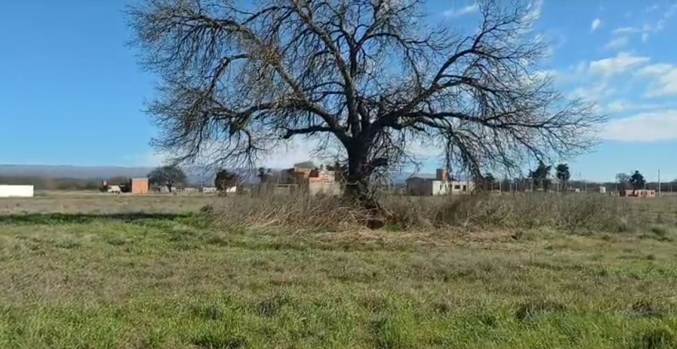 Imágenes