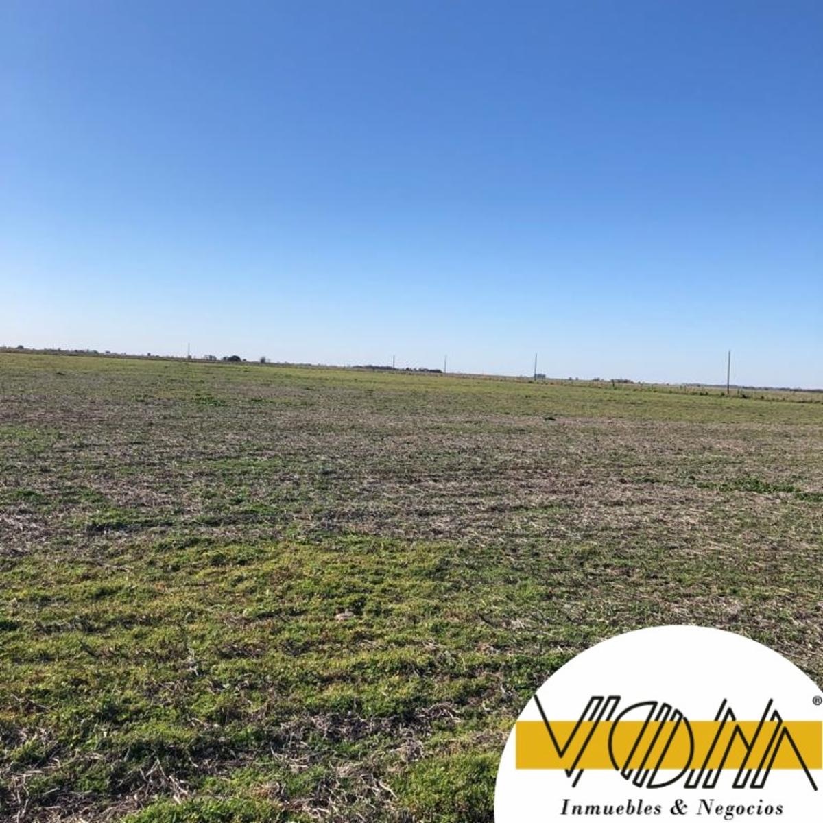 CAMPO EN VENTA, POZO DEL MOLLE, CÓRDOBA
