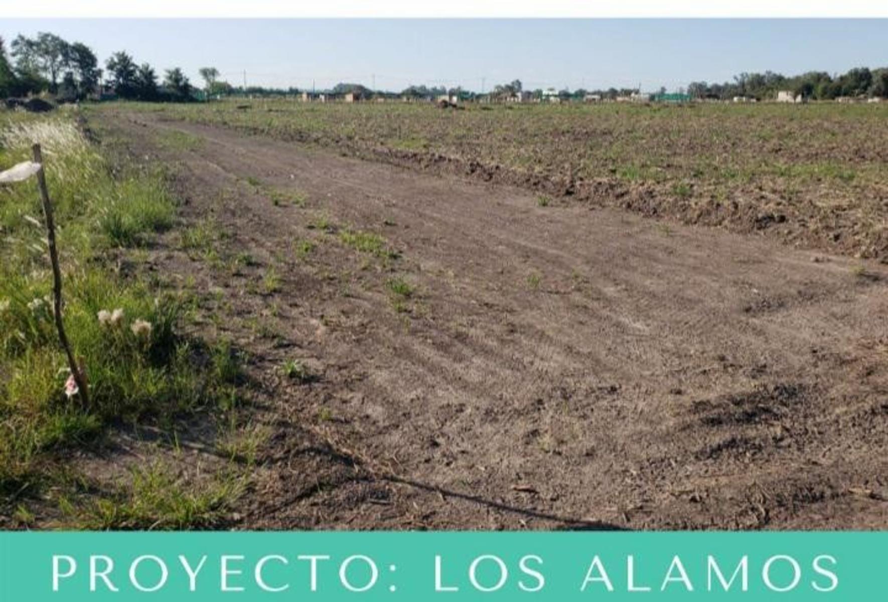 BARRIO CERRADO LOS ALAMOS LANZAMIENTO