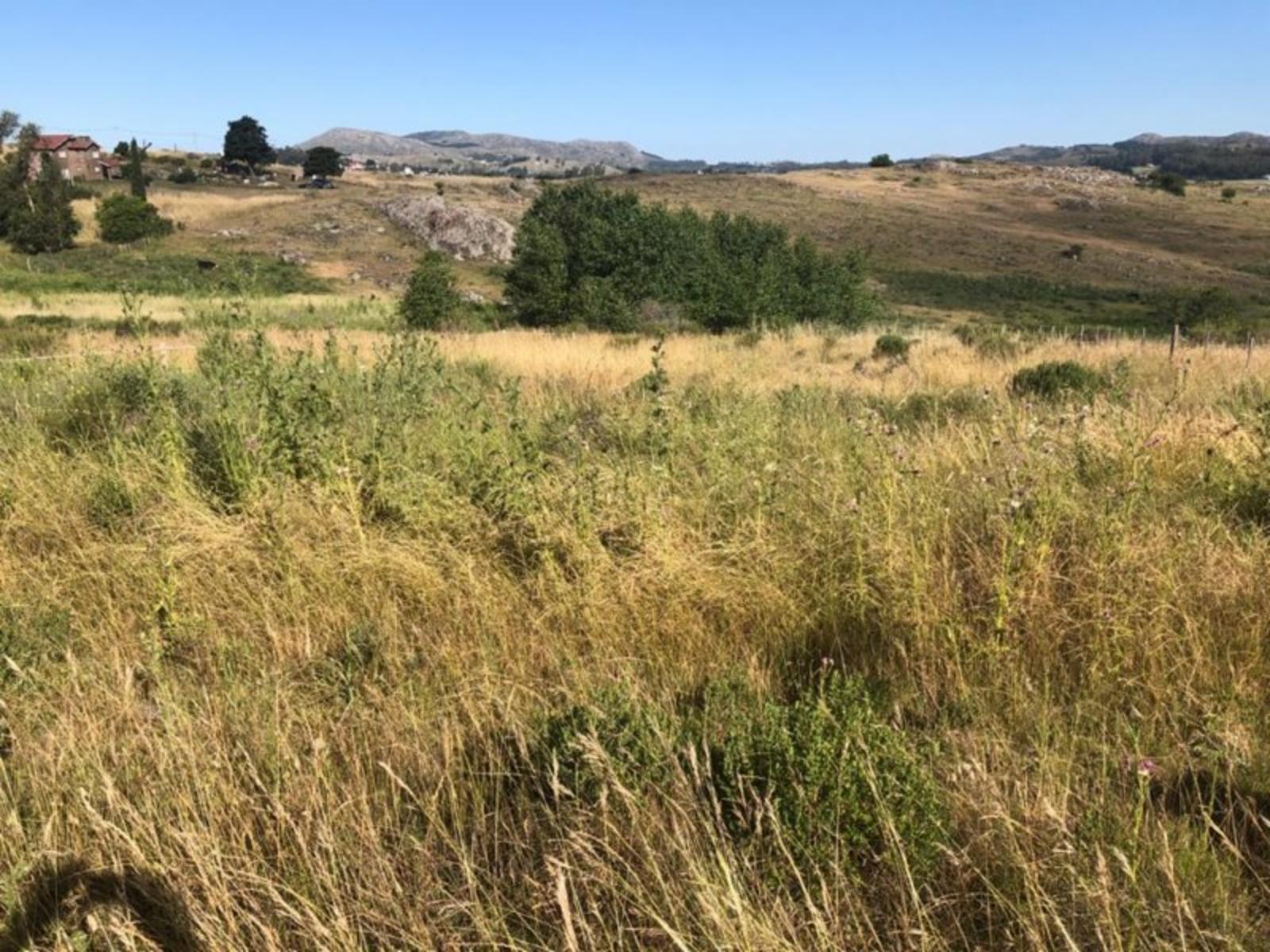 10 LOTES EN BLOCK EN TANDIL