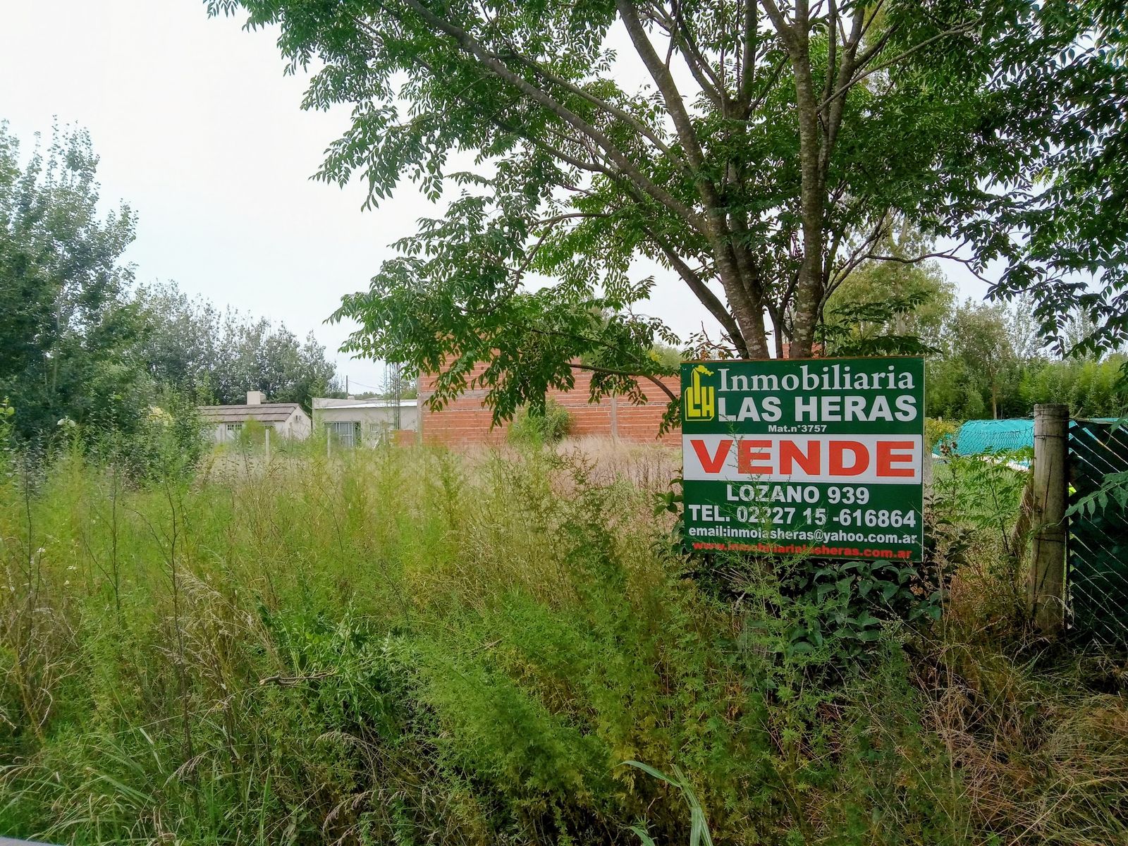 Imágenes