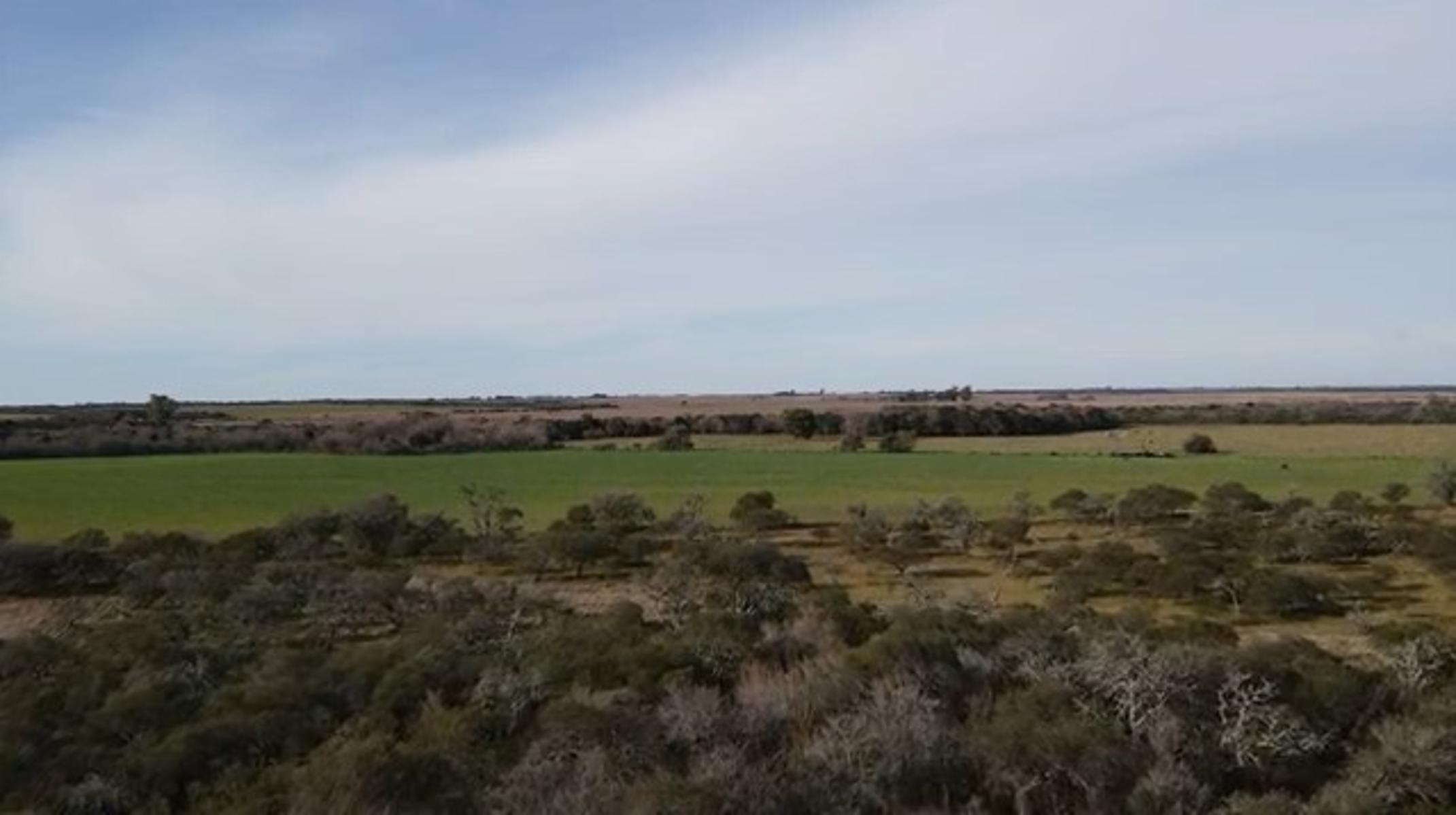 Campo Mixto en Nogoya Entre Ríos - 430 Has (330 Has Agricolas)