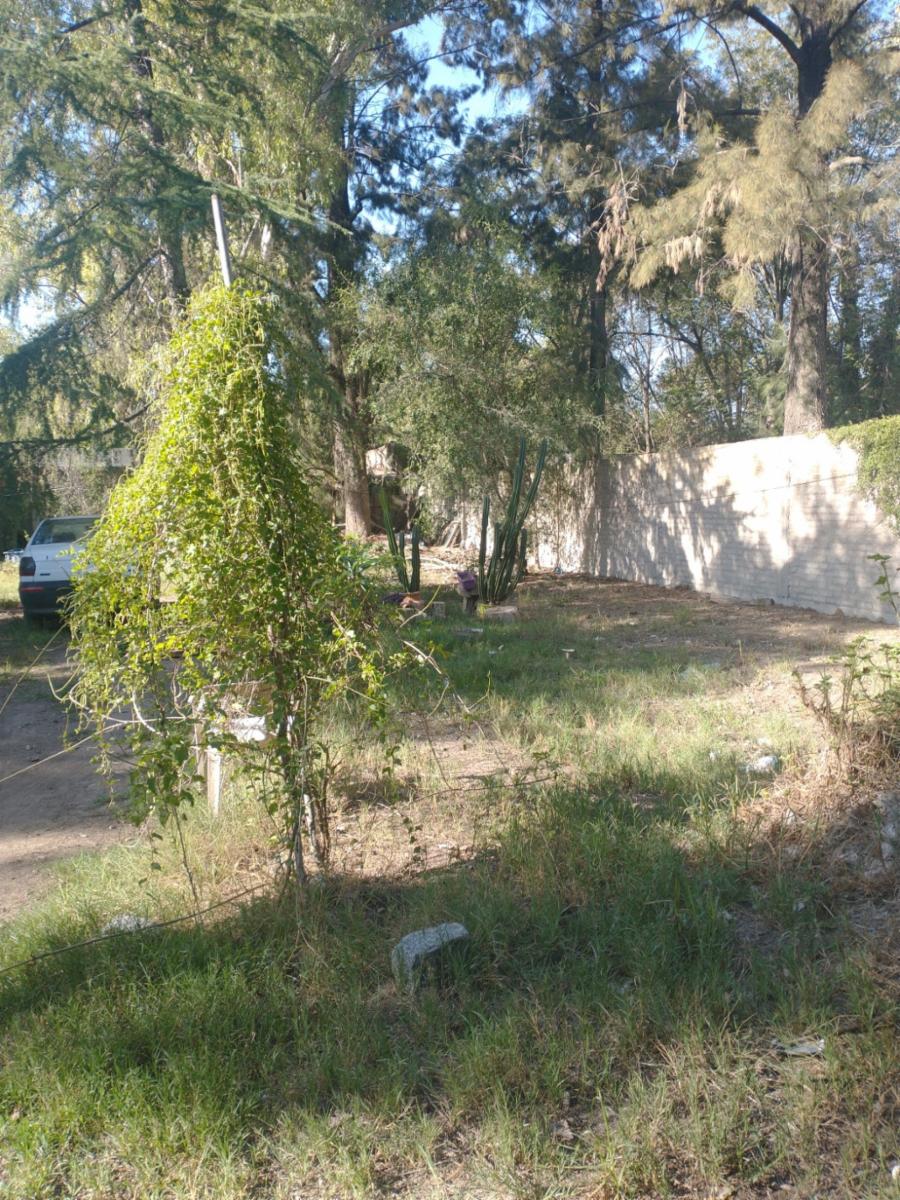 Imagens