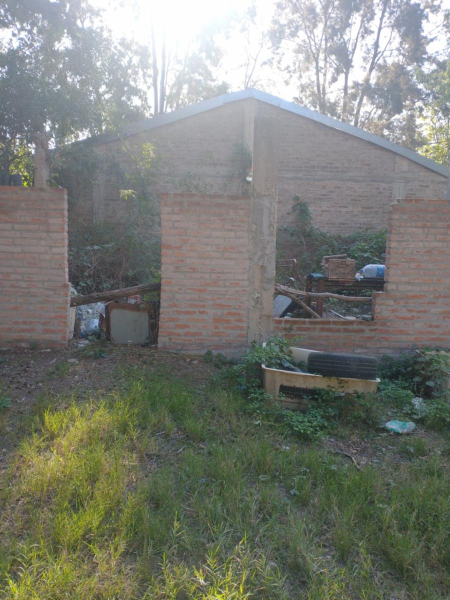Imagens
