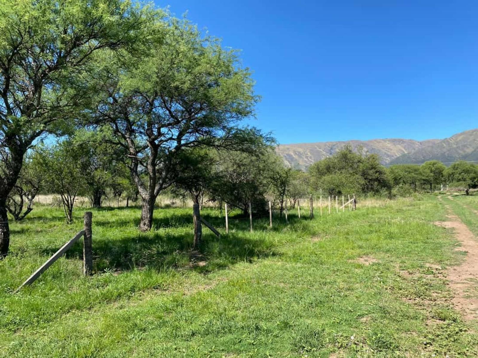 Venta terrero Los Molles San Luis
