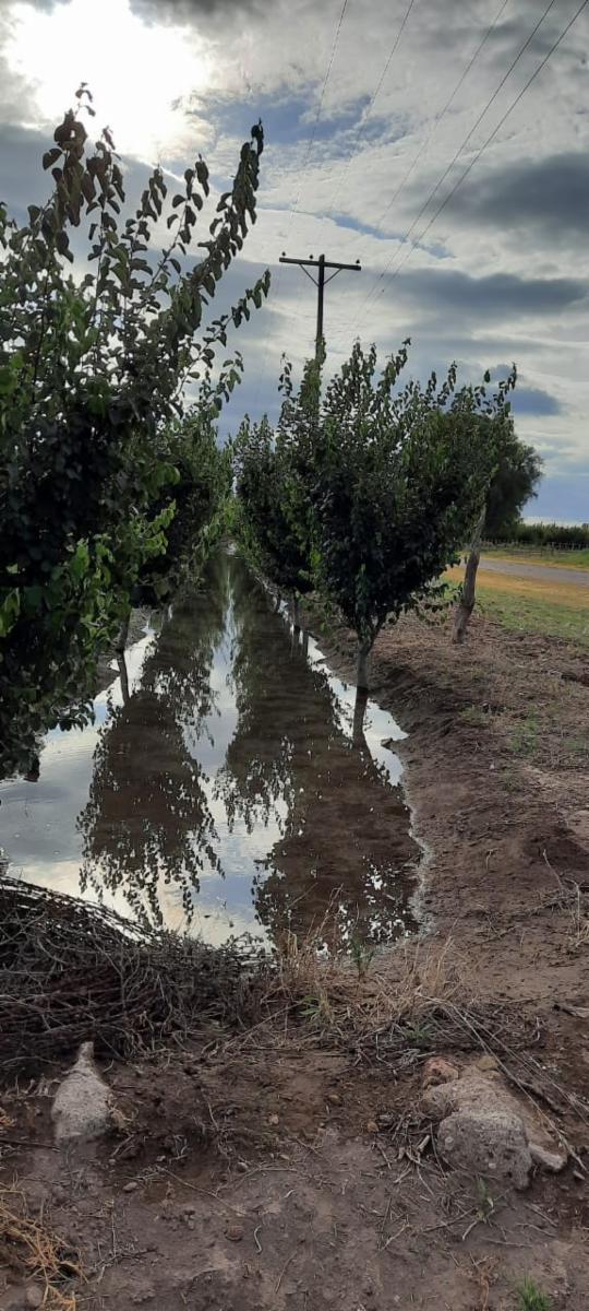 HERMOSA FINCA CON CASA EN VENTA