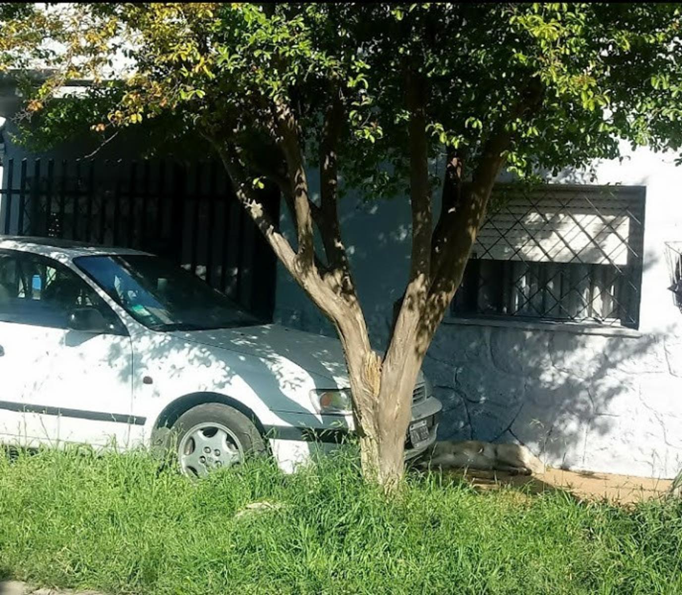 Imagens
