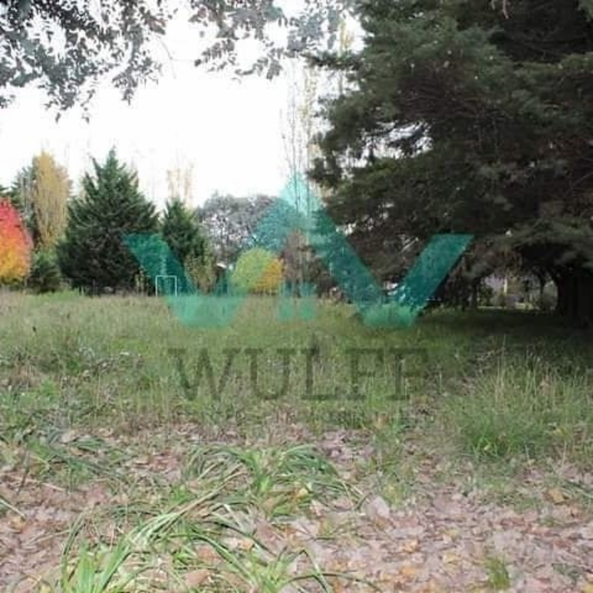LOTES B. Hosteria Sur (3 lotes de 1000 m2, Esquina 35.000 USD, Linderos 30.000 USD.)