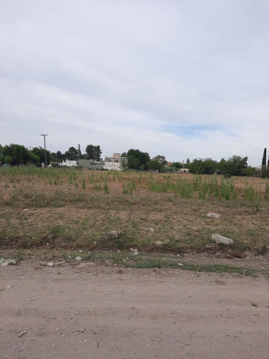 Lote VENTA 201 e/ 47 y 49 L.Olmos