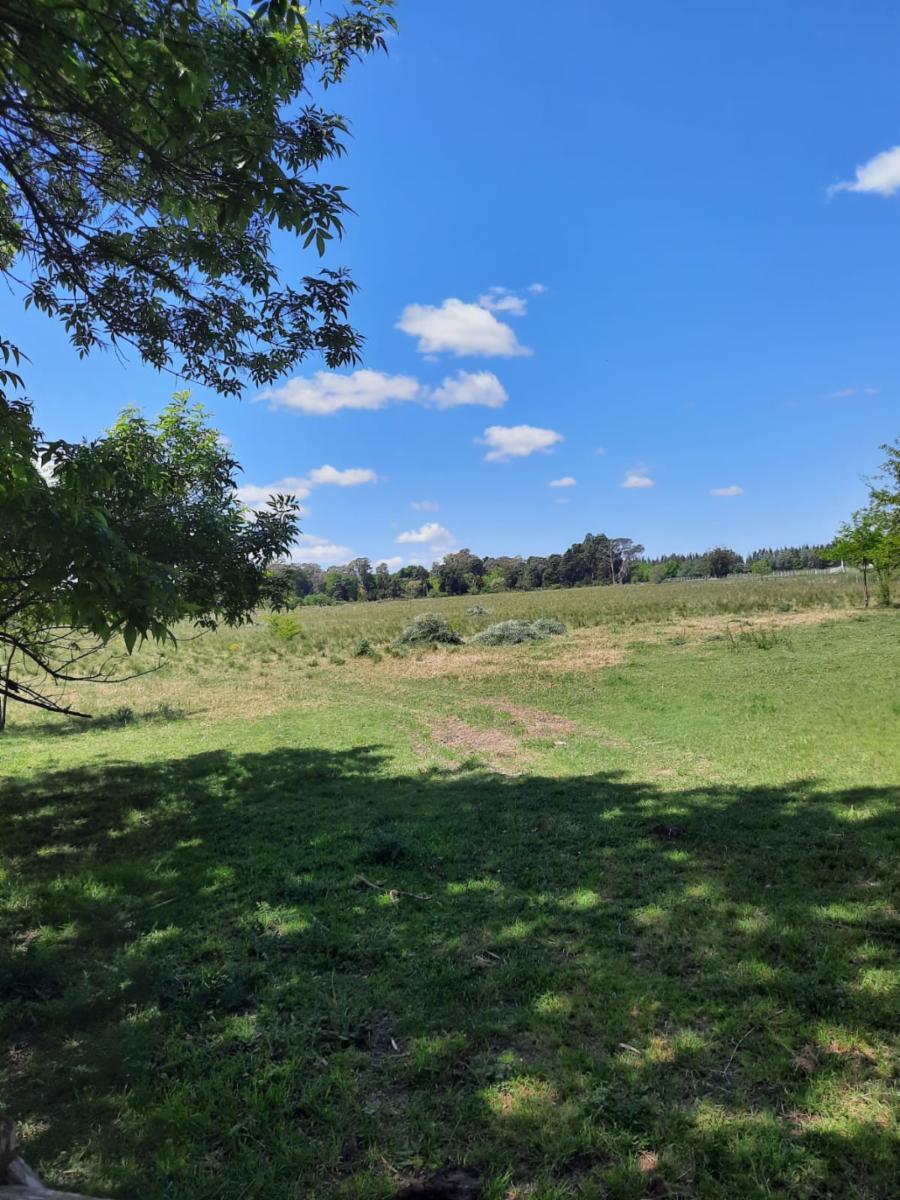 699 y 30 FRACCION VENTA I. CORREA