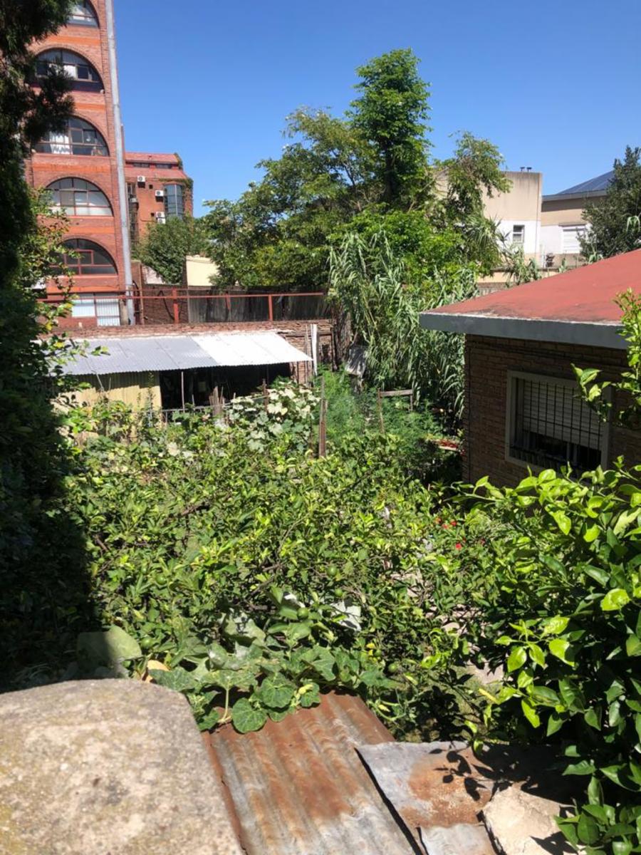 Imagens