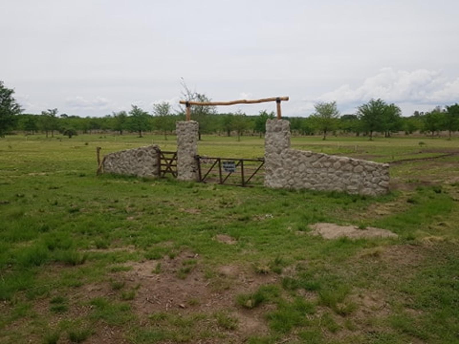 Images