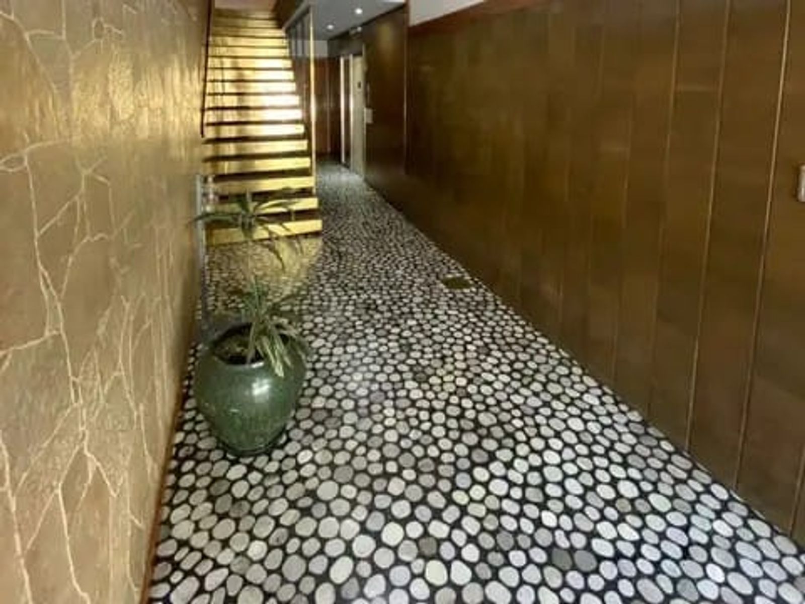 Imágenes