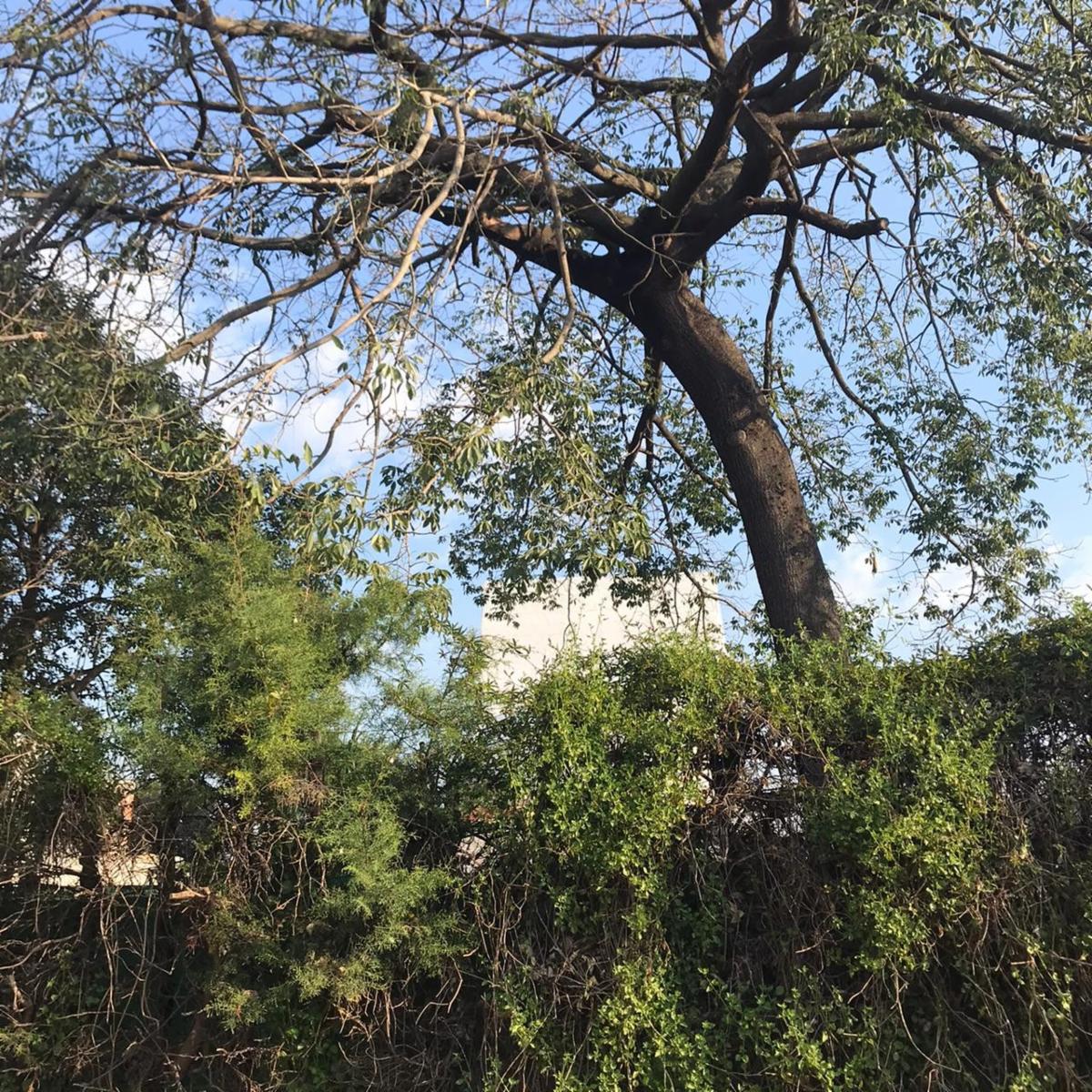 QUINTA ROSETTI 2700 SAN MIGUEL