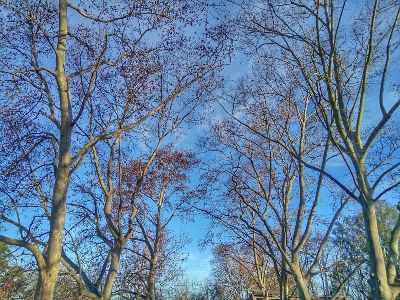 Terrenos en barrio abierto Santa Susana