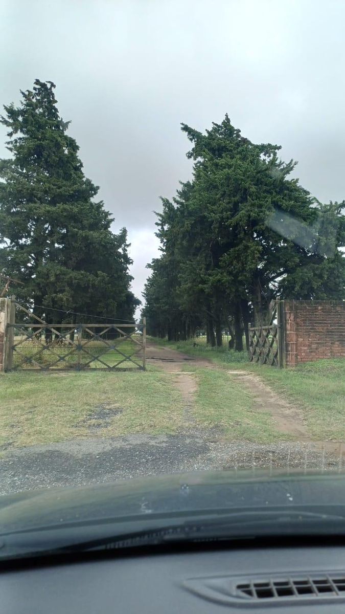 CAMPO EN VENTA SOBRE AUTOVIA RN 36 600 METROS DE FRENTE EXCELENTE CONECTIVIDAD