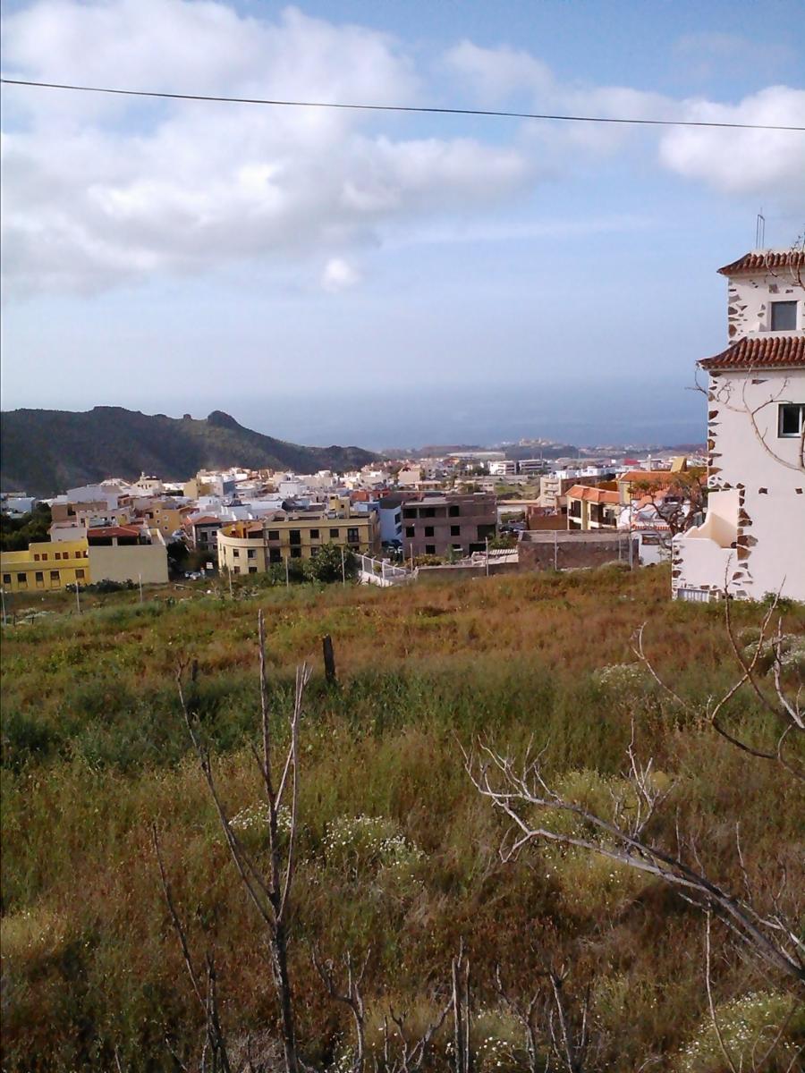 &quotLOS MOLINOS  &quot ADEJE