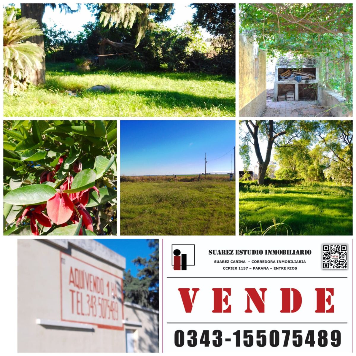 VENDEMOS 1 HA. EN SAUCE PINTO, DPTO. PARANA, ENTRE RIOS