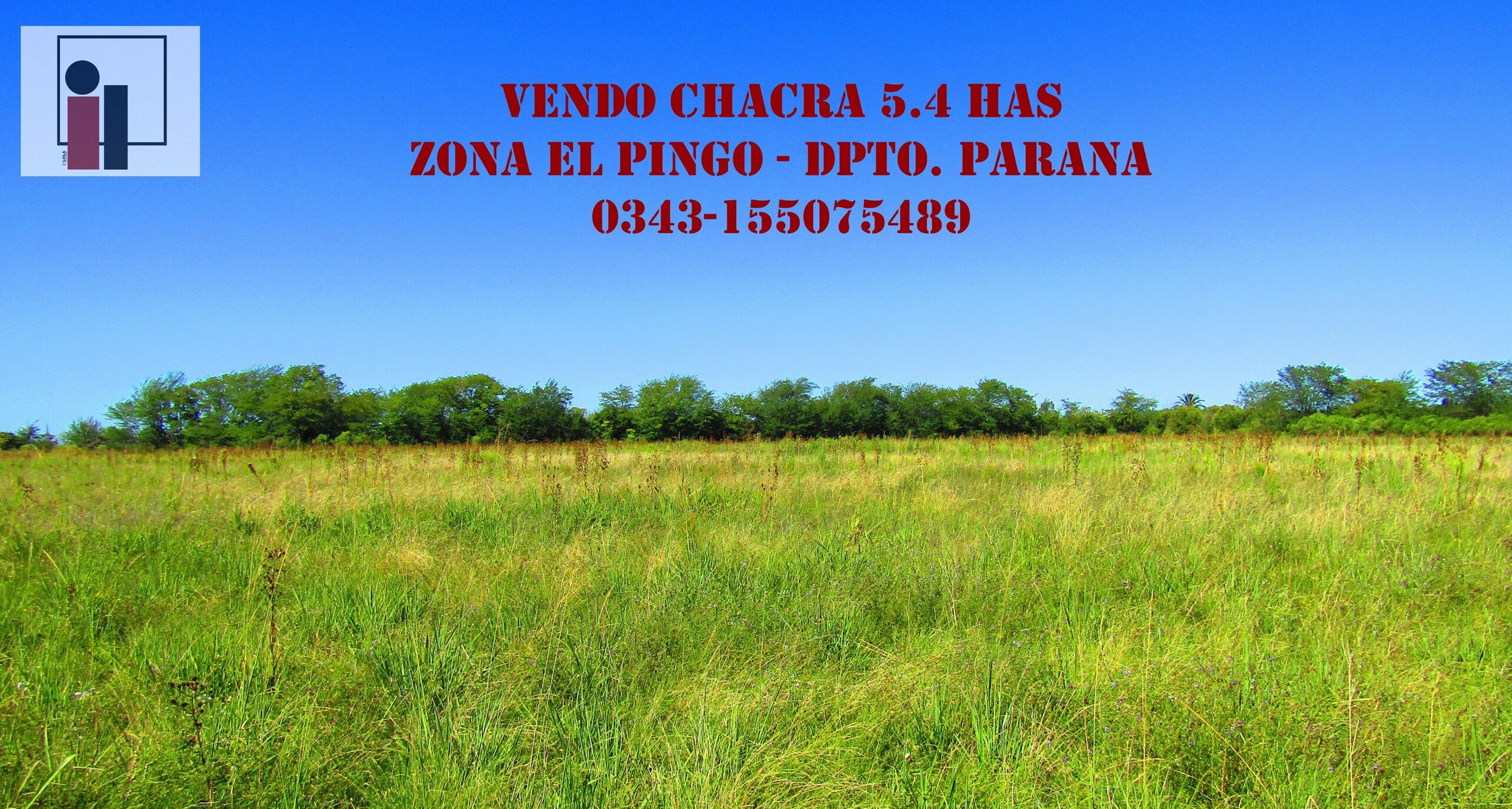 VENDEMOS CHACRA EN EL PINGO, DPTO. PARANA, SOBRE ASFALTO. LUZ TRIFASICA INSTALADA